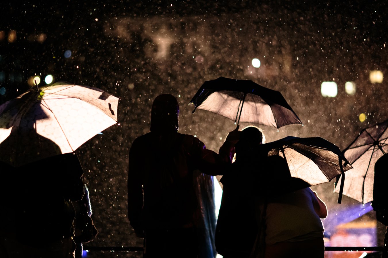 160804-Troubas_Kater-1211